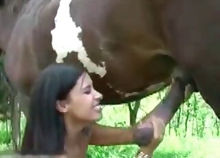 Oral creampie from a sexy horse
