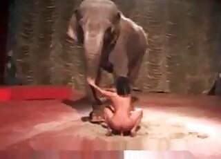 Chick masturbates in front of an elephant