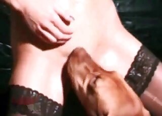 Glamour bitch is enjoying oral sex with a dog