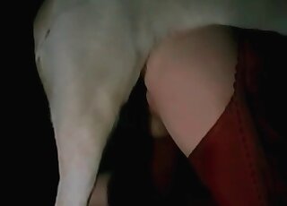 Lustful animal getting banged in a fetish-y video