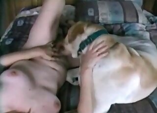 Dog cock pleasured in a free online porn movie