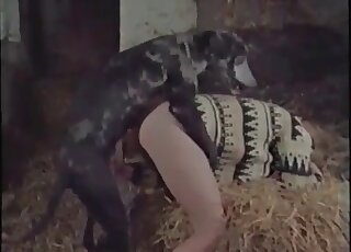 Awesome dog fuck movie with a filthy animal