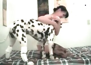 Thin Dalmatian appreciates a decent pup sex