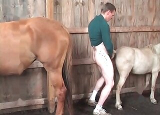 Screwing stunning horse from behind BIG TIME