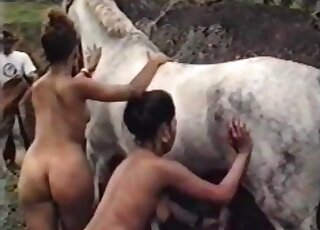 White animal fucked passionately in a cute vid