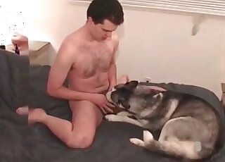 Doggystyle assfuck movie with an adorable gal