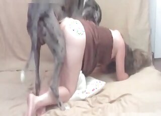 Dog dominates that hole in a freaky porn movie