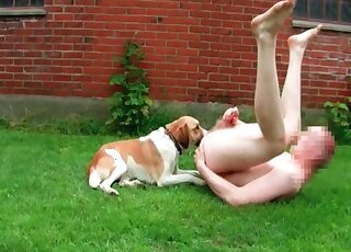 Dirty-as-fuck zoophile scene with a tiny pupper