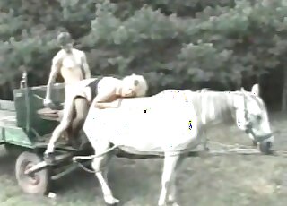 Zoophilic scene with a horny-looking white horse