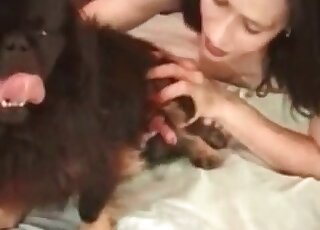 Brunette energetically sucking a canine's stiffie