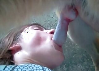 BJ scene featuring some upside-down action