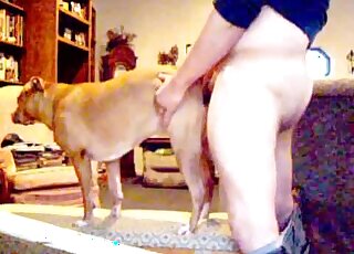 Lovely pup screwed savagely in a doggystyle vid