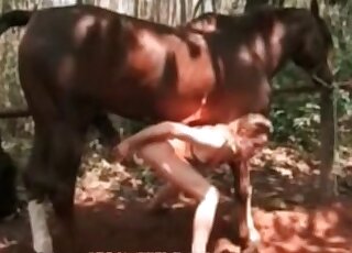 Brown-haired beauty gets fucked by a horse