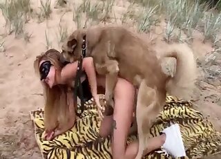Sexy wild doggy is getting pleasure from hard fuck