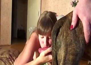 Horny dog fucked her tight cunt from behind on cam