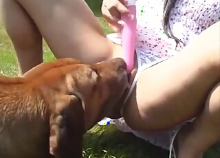 Busty mademoiselle is sucking a massive doggy penis