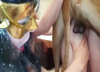 A horny mutt with a big cock fucked her twat