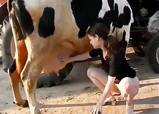 Hot zoophile slut and her cow love each other