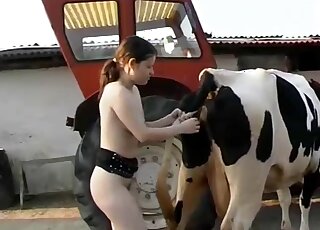 Beautiful farm bestiality porn action with a nice cow