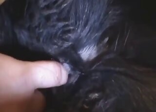 The wet cunt of a pet gets fingered in the video