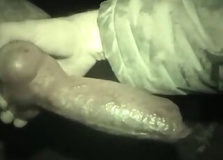 Dog penis examined by a really horny man