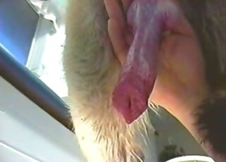 Showing that excellent mutt cock up close