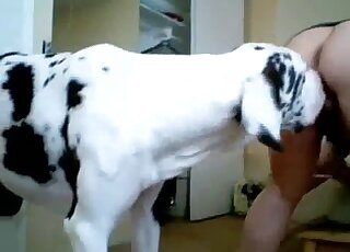 Pooch pounded from behind in a really freaky vid