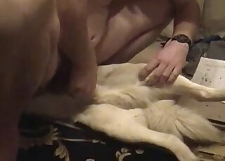 Teasing that pussy before fucking it silly
