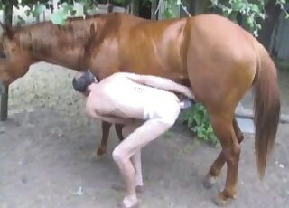 Zoophilic action with a sexy horse in HD quality