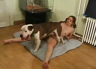 Stylish darling opens her cunt for a terrible pup