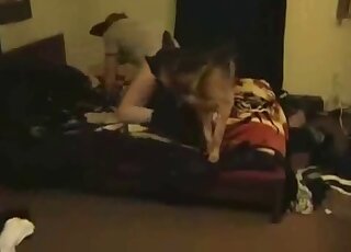Canine appreciates violent screwing on cam