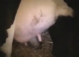 POV porno scene with an adorable farm fucking