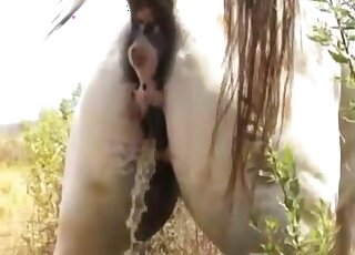 Wild pony fucking horses in a doggystyle video
