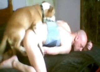 Bald zoophilic dude fucks his own pet right here