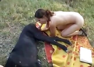 Brunette blows a canine on a cookout cover