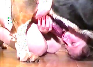 Large animal penis dominates her juicy pussy