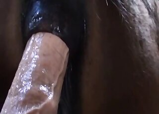 Pony's tight hole gets decimated for the camera