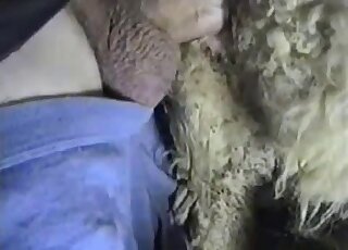 Horned-up sheep gets to fuck a real horny dude