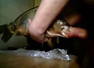 Sexy fish skull-fucked in a very weird porn vid