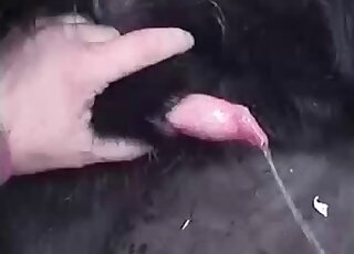 Black creature gets to showcase its strange cock