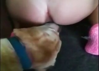 Impressive doggystyle fuck with a big-assed babe