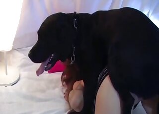 Black dog enjoys hot sex with her greedy hole