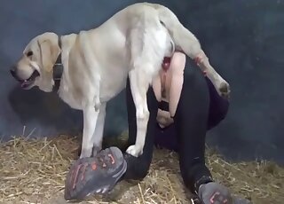 Chick with an innocent look likes dog oral sex