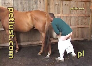 Good amateur animal fuck with a trained horse