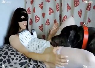 Stunning dog porn action with a trained horny beast