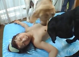 Asian hottie and her trained dog enjoy hard beast fuck