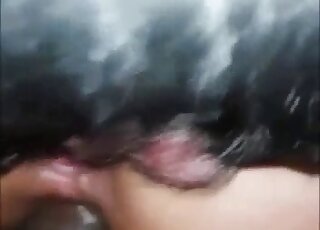 Good and hot anal zoo porn in the close-up