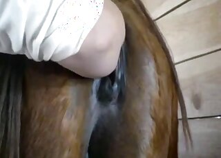 A horse is enjoying ass licking and stimulation in the barn