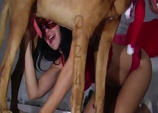 Lady in a red mask knows how to suck an animal cock