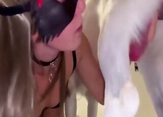 White dog and a hot female are enjoying nasty bestiality
